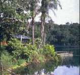 Lake Eacham